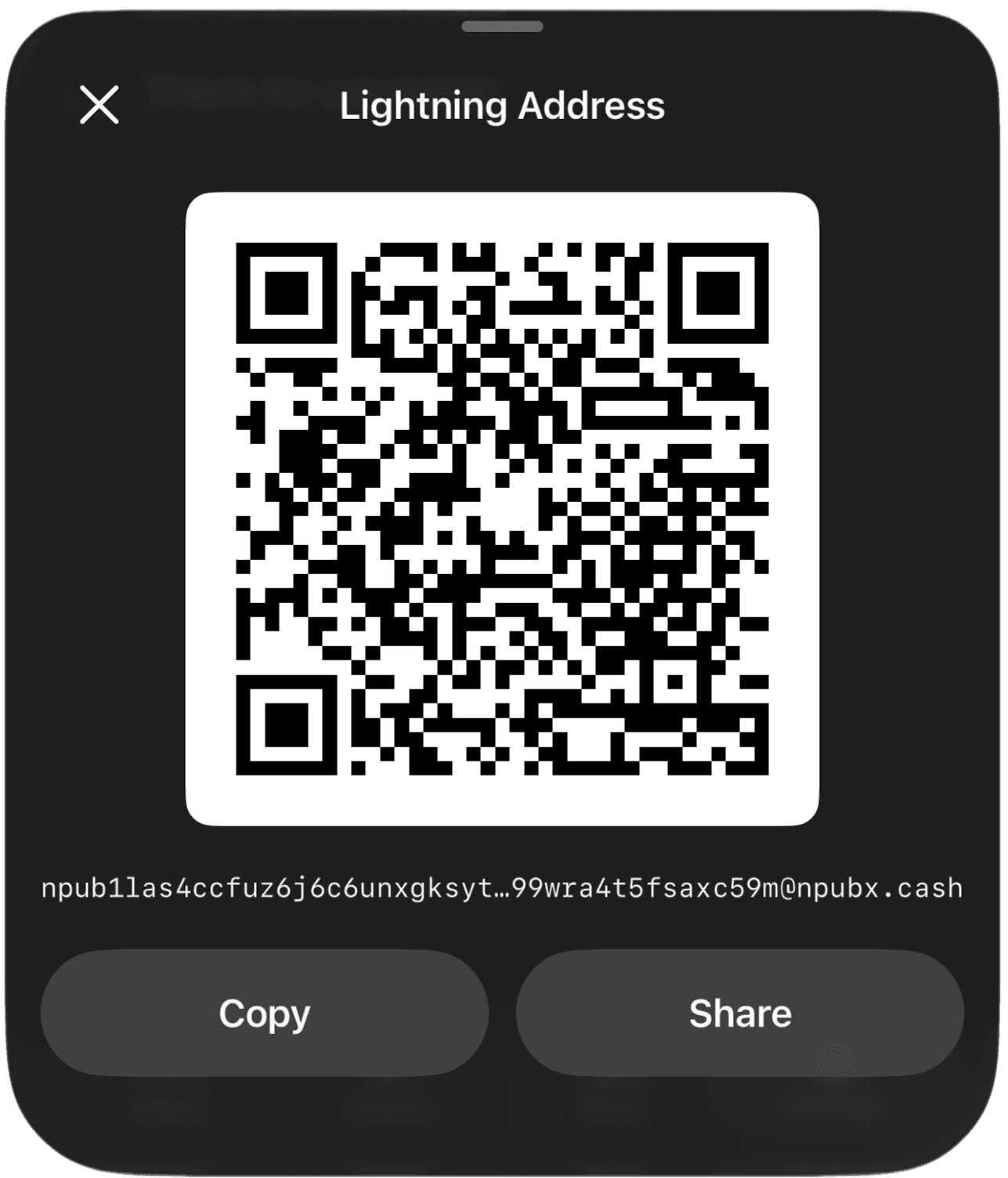 Bottom sheet showing a Lightning Address QR code with Copy and Share actions